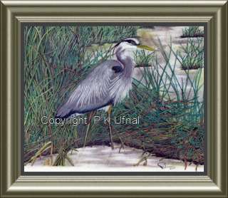 Pencil&Ink Art,Birds,Great Blue Heron Print 1by PKUfnal  