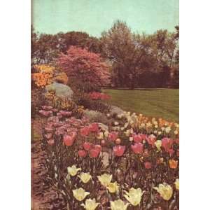   of Gardening [14 Volumes] (9781299128507) T. H. Everett Books
