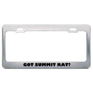 Got Summit Rat? Animals Pets Metal License Plate Frame Holder Border 