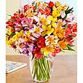 Fresh Flowers   Buy Tropical Bouquets, Mixed Bouquets 