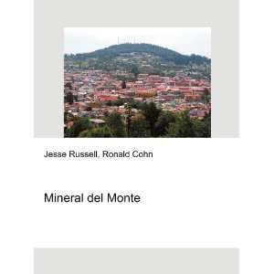  Mineral del Monte Ronald Cohn Jesse Russell Books