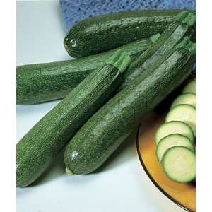  Squash, Summer, Burpee Hybrid Zucchini 1 Pkt. (25 seeds 