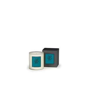  Agave Small Soy Candle