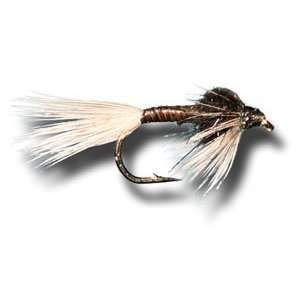  Black Quill Nymph Fly Fishing Fly