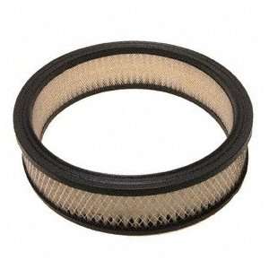  Forecast Products AF101 Air Filter Automotive