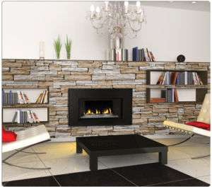Napoleon GDI30GN Gas Fireplace Insert GDI30N  Crystites ~ 