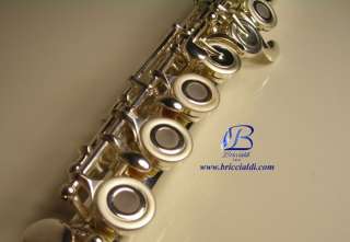   bu briccialdi flutes give a elegant touch to the flute case bag