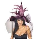   By Rubies Costumes Purple Feather Adult Witch Hat / Purple   One Size