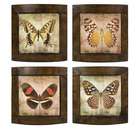 CC Home Furnishings Set of 4 Decorative Antique Framed Butterfly Wall 