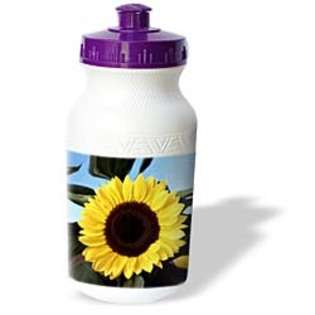 3dRose LLC Flowers   Sunflower   Water Bottles 