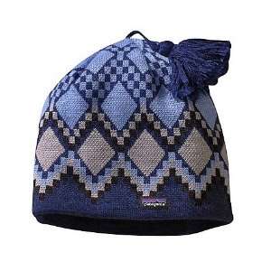  Patagonia Lightweight Ski Hat