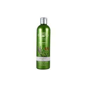  Organic Lavender & Aloe Shampoo   For Normal To Dry Hair 