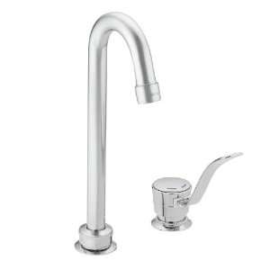  Moen CA8901 Commercial Single Handle Bar Faucet, Chrome 