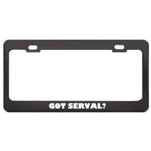 Got Serval? Animals Pets Black Metal License Plate Frame Holder Border 