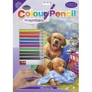     Pencil By Number Wash Day Fun 9x12 (Coloring Kits) Toys & Games