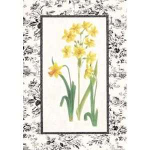 Jonquil And Narcissus II Poster Print 