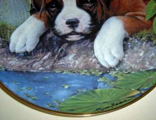 SIMON MENDEZ Boxer Puppies WATERS EDGE Pup Plate Cute  
