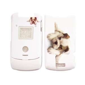   Cell Phone Snap on Protector Faceplate Cover Housing Case   Puppy