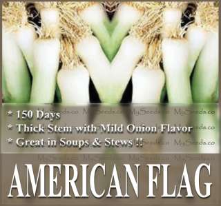 AMERICAN FLAG   LEEK SEEDS ~ PERFECT FOR SOUPS, STEWS  