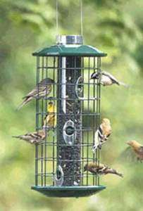 Duncraft Metal Sunflower Haven Seed Cage Bird Feeder  