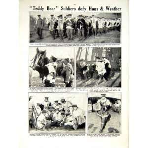 CAVALRY HORSES YSER 1914 15 WORLD WAR BRITISH PICKETS 