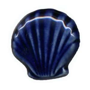 Knob   357 60, Shells, Shell, Seashells, Sea Shells, Fan, Fan Shells