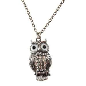   Silver Tone Owl Pendant with Long Chain Neckpiece 