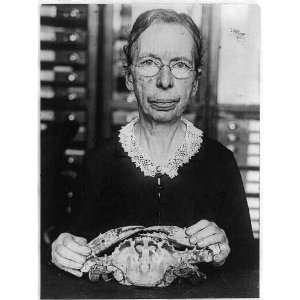    Dr. Mary Jane Rathbun (1860 1943) Zoologist