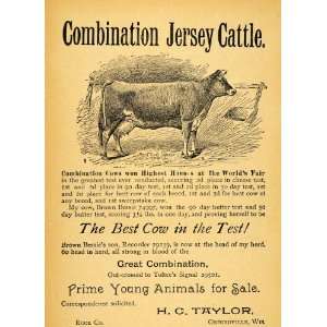 1893 Ad Jersey Cattle Milk Cow HC Taylor Orfordville WI   Original 