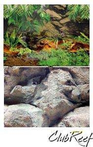 72 x 19 Rainforest/Rocky Aquarium Terarrium Background  