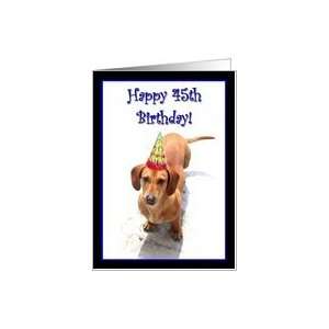 Happy 45th Birthday Dachshund Card  Toys & Games  