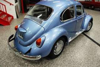 Volkswagen  Beetle   Classic Standard in Volkswagen   Motors