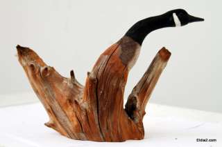 Canadien goose decoy carving by Delso  