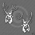 Mule Deer Sticker Decal muley buck 2 decals  