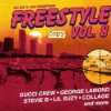 Freestyle Vol.10 Various  Musik