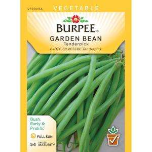 Burpee Garden Bean Bush Snap Tenderpick Seed 52218 