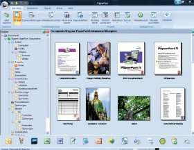 PaperPort 12 Professional, Deutsch, Einführungspreis  