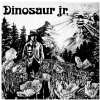 Bug [Vinyl LP] [Vinyl LP] Dinosaur Jr  Musik