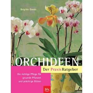 Orchideen  Brigitte Goede Bücher