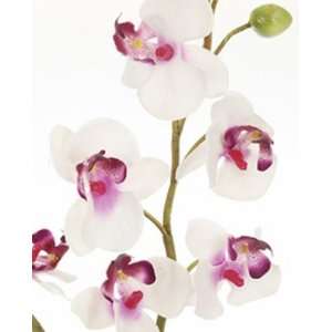 Orchidee Phalaenopsis Kunstpflanze 40cm lila weiß  Küche 