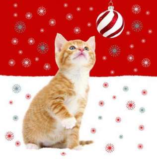 Weihnachtskarte   Paw Play   Rote Katze   Rot