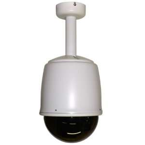  Day/night Speed Dome Ip Cam Pend/flush