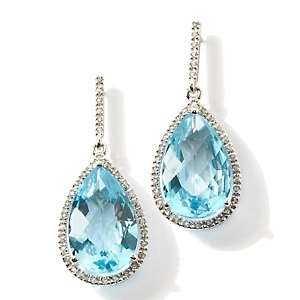   Jewelry with Carol Brodie Gemstone Sterling Silver Drop Earrings at