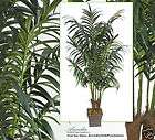 TWO 7 Kentia Palm Artificial Silk Trees Look Real 66