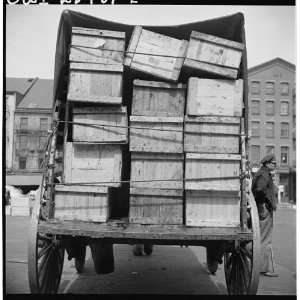   fish by horse drawn vehicle from Fulton fish market