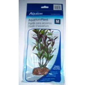  Aqueon 09608 Feather Maroon Aquarium Plant, 9 Inch Pet 