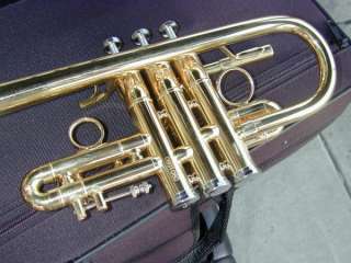 Beautiful Berkeley 1Pece bell Eb&D Trumpet Piccolo Horn  