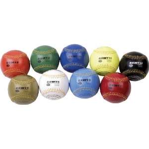 Champion Sports Weighted Training Baseball Set With Nylon Carrying 