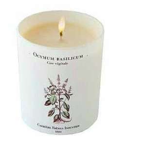  Carriere Freres Industrie ~ BASIL Candle