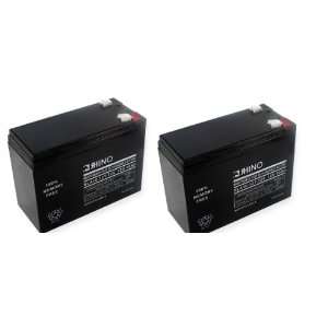   Battery (Set of two). 24 Volt Scooter Battery for Currie, Razor, Izip